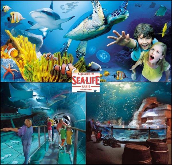 Disneyland Paris 6 Pers- Wifi - Disney Tv Wifi, Parking Chessy  Esterno foto